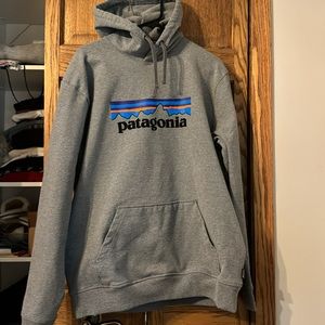 Patagonia Hooded Sweatshirt